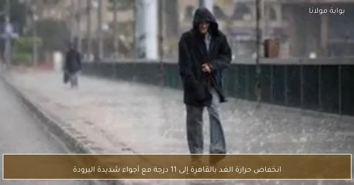 انخفاض حرارة الغد بالقاهرة إلى 11 درجة مع أجواء شديدة البرودة