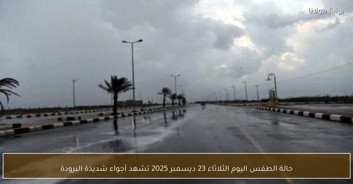 حالة الطقس اليوم الثلاثاء 23 ديسمبر 2025 تشهد أجواء شديدة البرودة