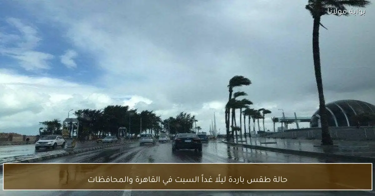 حالة طقس باردة ليلًا غداً السبت في القاهرة والمحافظات