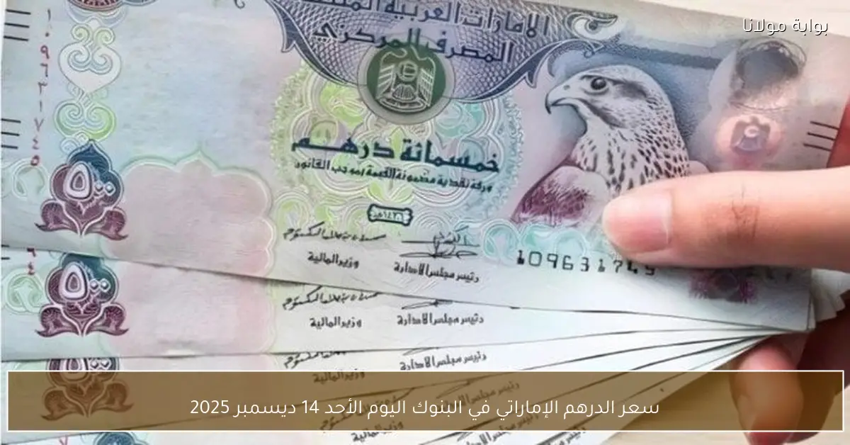 سعر الدرهم الإماراتي في البنوك اليوم الأحد 14 ديسمبر 2025