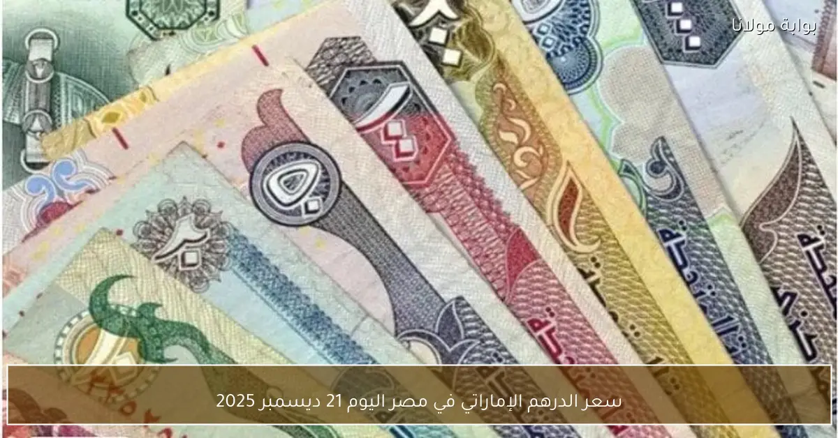 سعر الدرهم الإماراتي في مصر اليوم 21 ديسمبر 2025