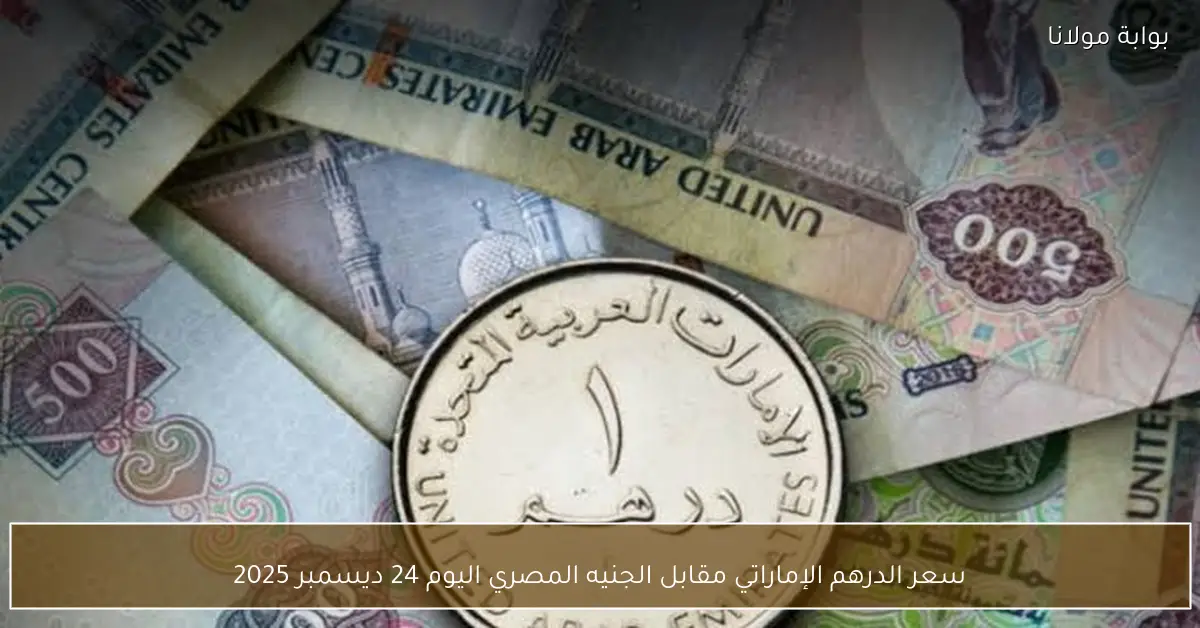 سعر الدرهم الإماراتي مقابل الجنيه المصري اليوم 24 ديسمبر 2025