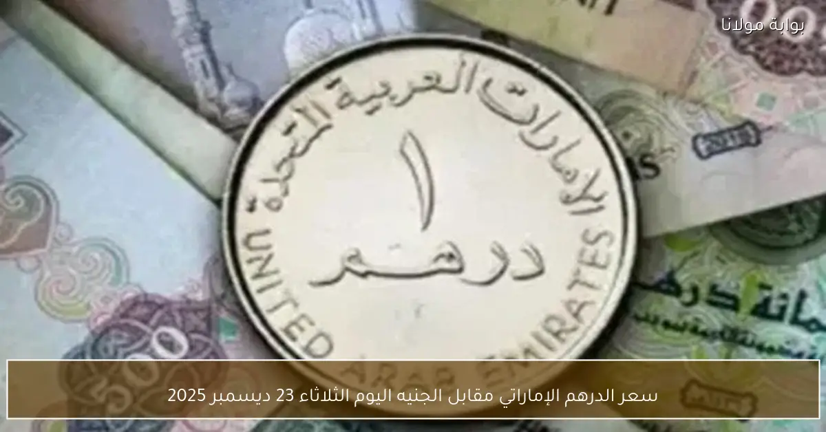 سعر الدرهم الإماراتي مقابل الجنيه اليوم الثلاثاء 23 ديسمبر 2025