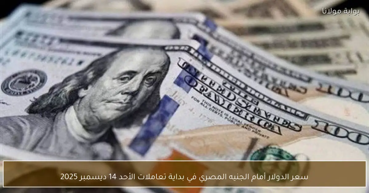 سعر الدولار أمام الجنيه المصري في بداية تعاملات الأحد 14 ديسمبر 2025