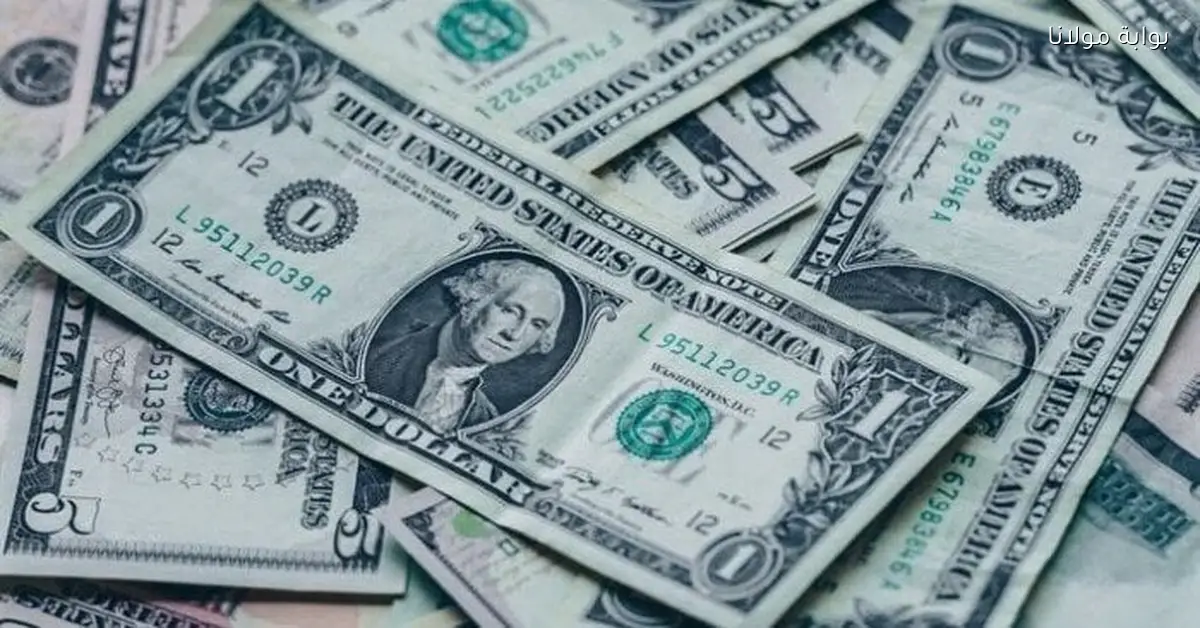سعر الدولار اليوم الخميس 11 ديسمبر 2025