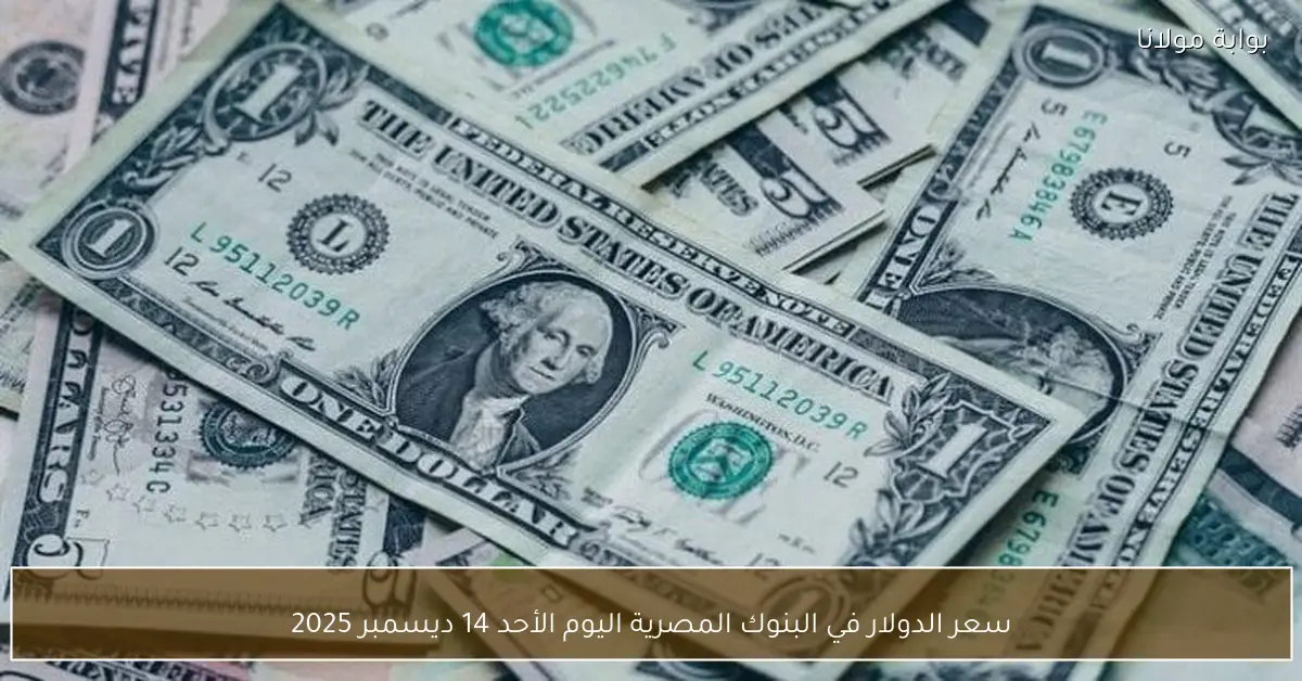 سعر الدولار في البنوك المصرية اليوم الأحد 14 ديسمبر 2025
