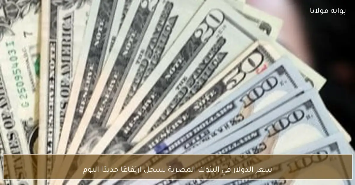 سعر الدولار في البنوك المصرية يسجل ارتفاعًا جديدًا اليوم