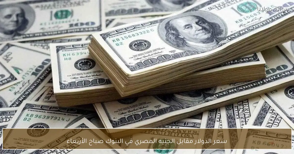 سعر الدولار مقابل الجنيه المصري في البنوك صباح الأربعاء