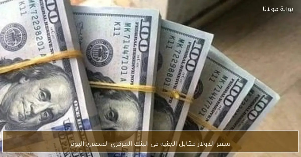 سعر الدولار مقابل الجنيه في البنك المركزي المصري اليوم