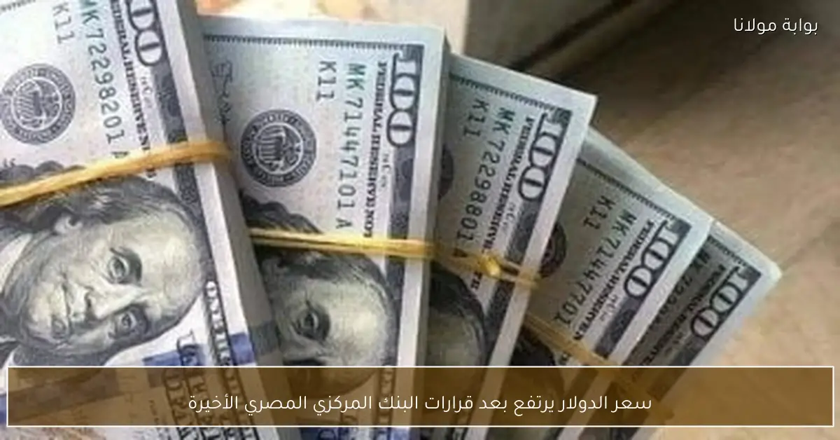 سعر الدولار يرتفع بعد قرارات البنك المركزي المصري الأخيرة