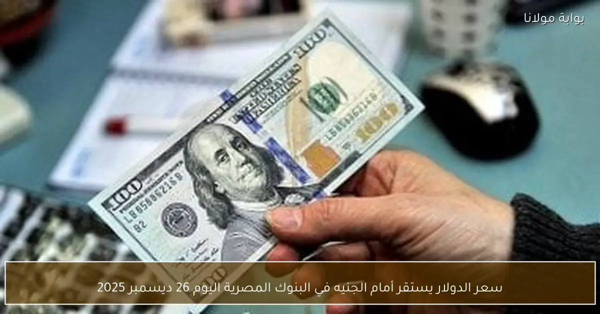 سعر الدولار يستقر أمام الجنيه في البنوك المصرية اليوم 26 ديسمبر 2025