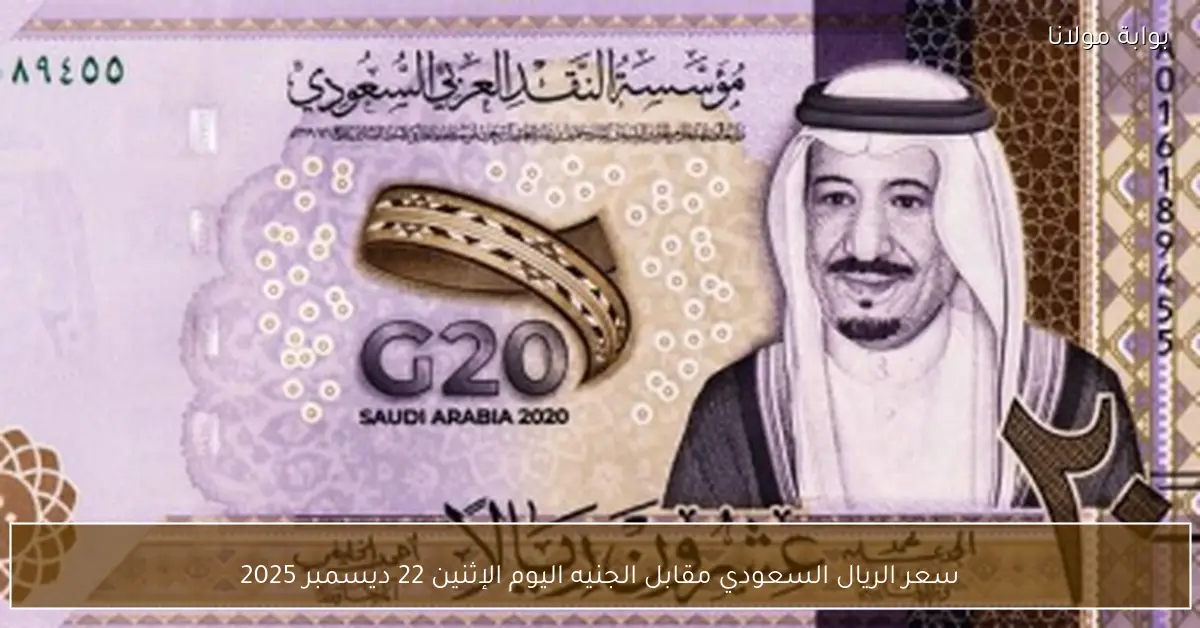 سعر الريال السعودي مقابل الجنيه اليوم الإثنين 22 ديسمبر 2025