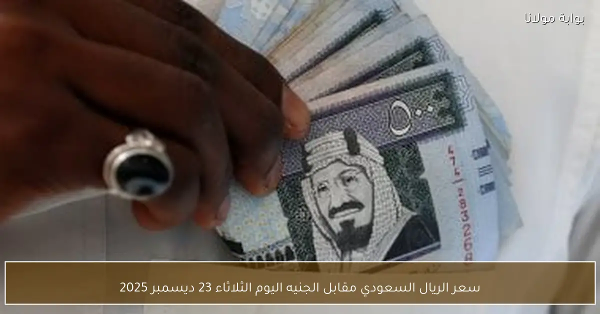 سعر الريال السعودي مقابل الجنيه اليوم الثلاثاء 23 ديسمبر 2025