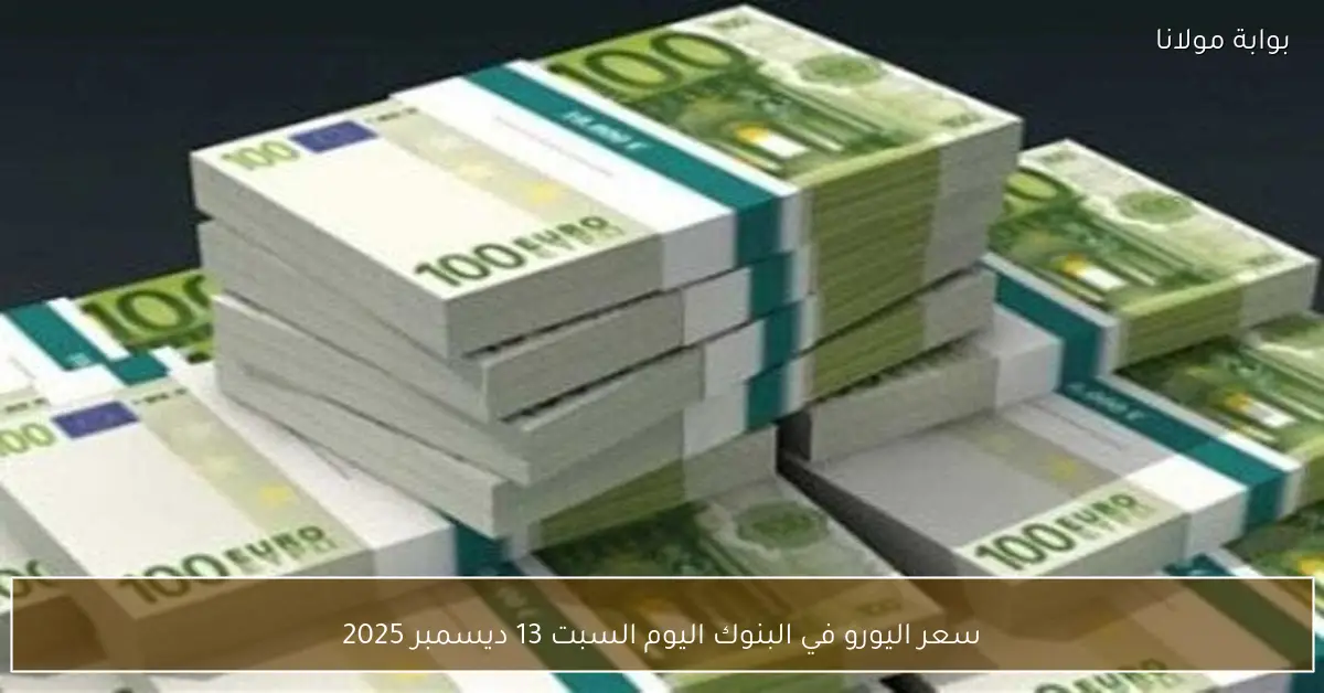 سعر اليورو في البنوك اليوم السبت 13 ديسمبر 2025