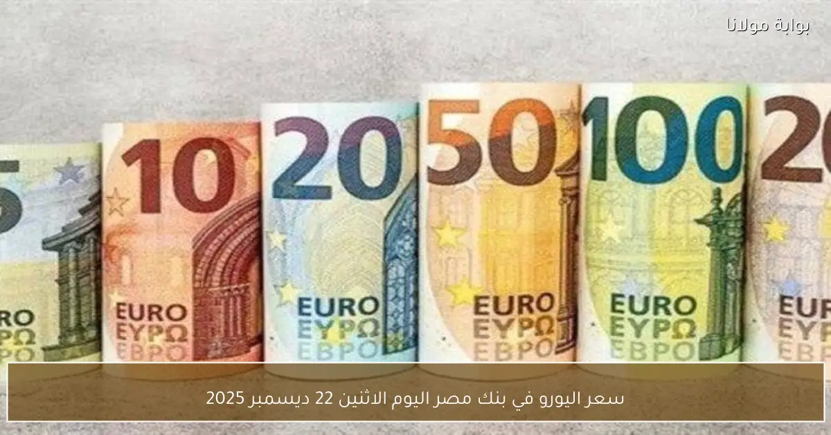 سعر اليورو في بنك مصر اليوم الاثنين 22 ديسمبر 2025
