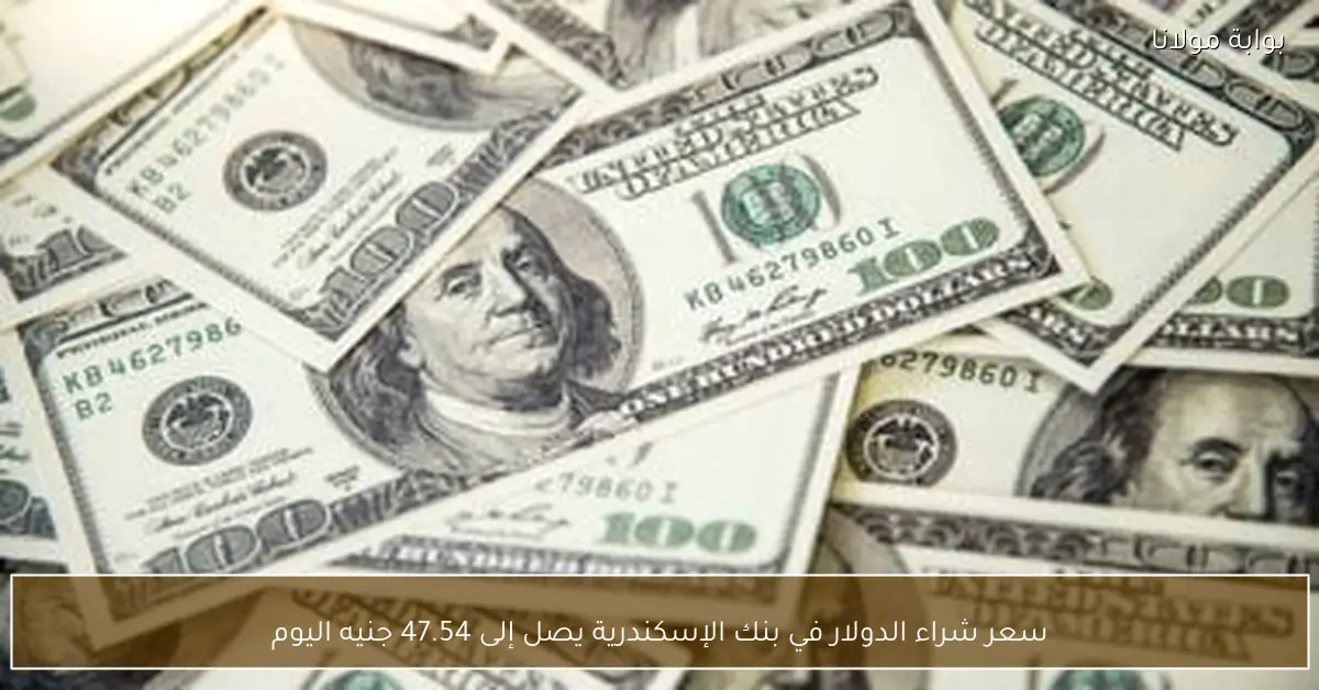 سعر شراء الدولار في بنك الإسكندرية يصل إلى 47.54 جنيه اليوم