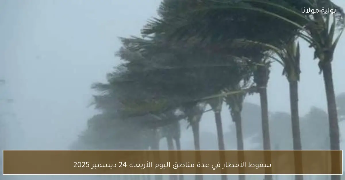 سقوط الأمطار في عدة مناطق اليوم الأربعاء 24 ديسمبر 2025