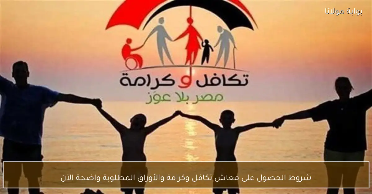 شروط الحصول على معاش تكافل وكرامة والأوراق المطلوبة واضحة الآن