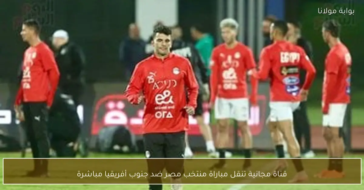 قناة مجانية تنقل مباراة منتخب مصر ضد جنوب أفريقيا مباشرة