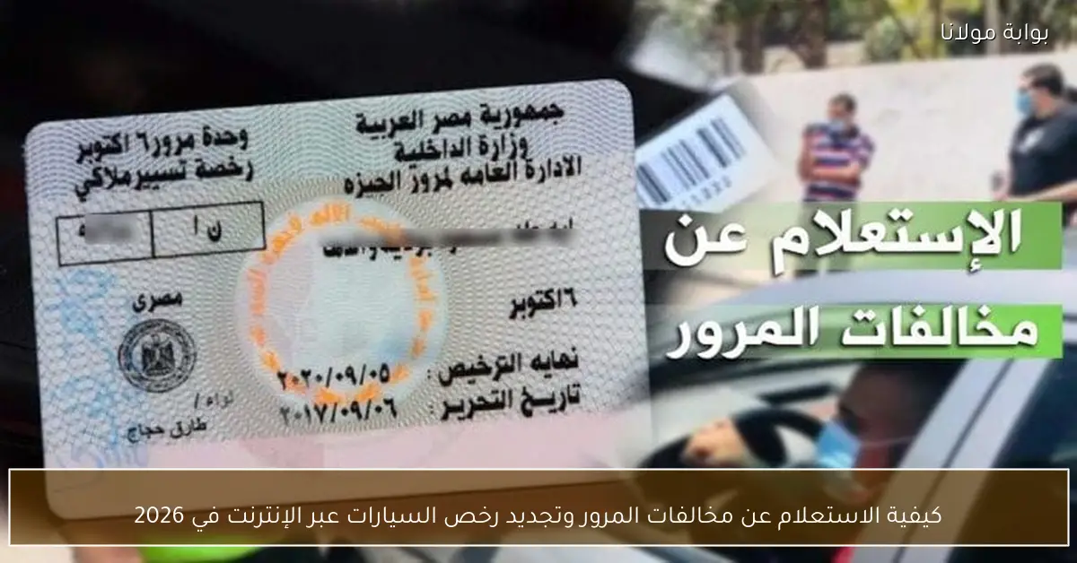 كيفية الاستعلام عن مخالفات المرور وتجديد رخص السيارات عبر الإنترنت في 2026