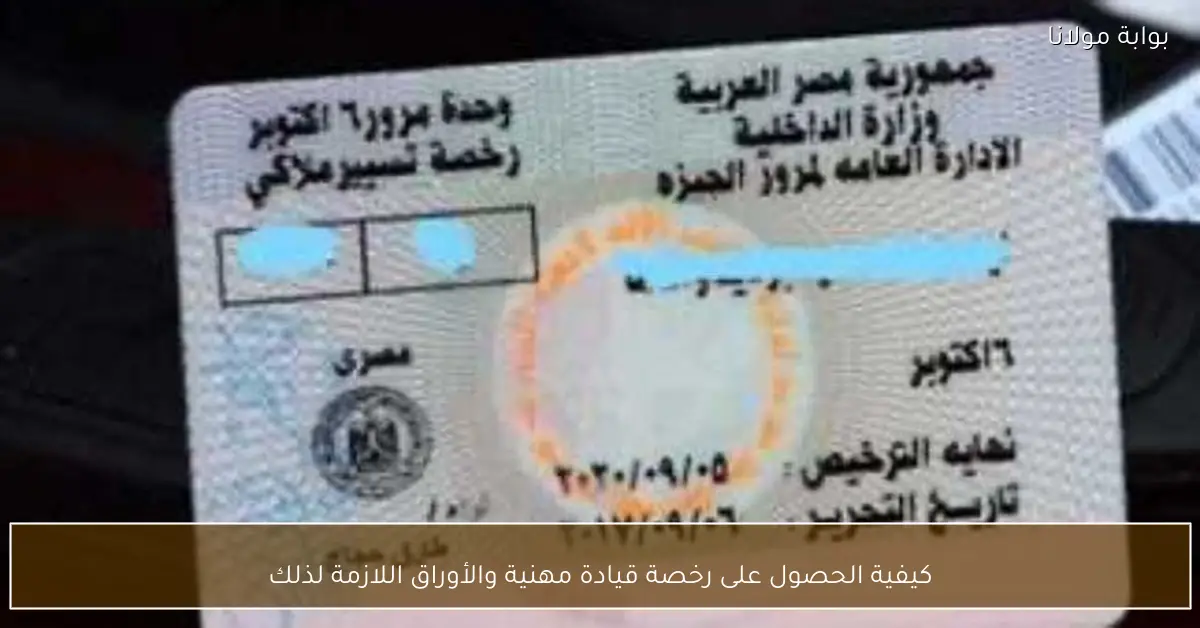 كيفية الحصول على رخصة قيادة مهنية والأوراق اللازمة لذلك