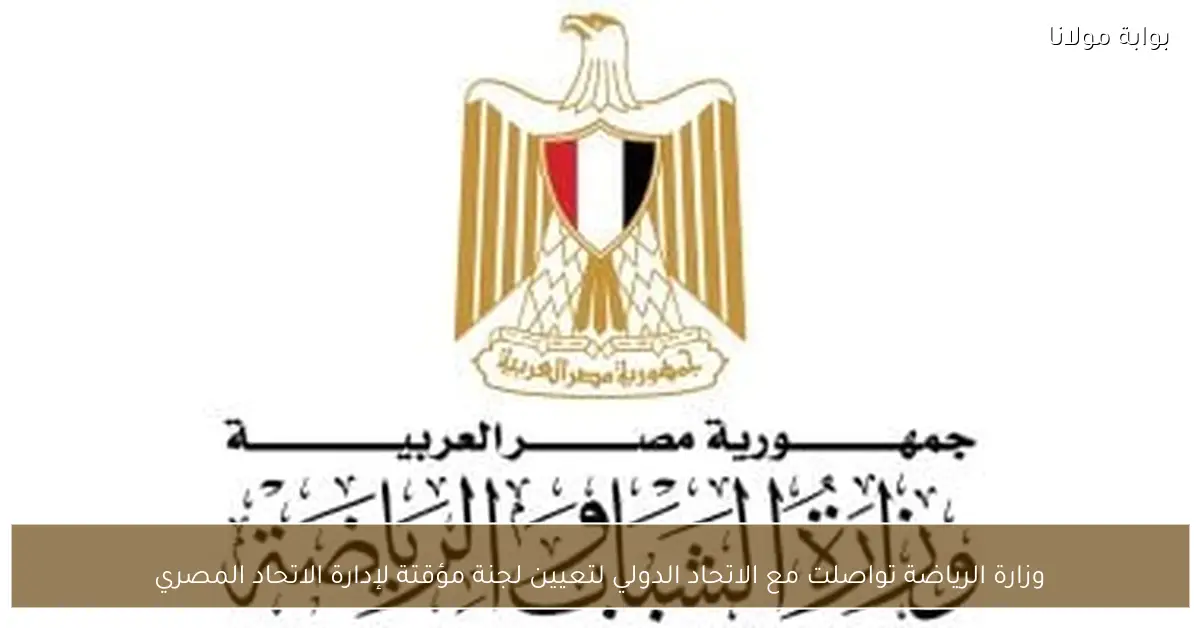 وزارة الرياضة تواصلت مع الاتحاد الدولي لتعيين لجنة مؤقتة لإدارة الاتحاد المصري