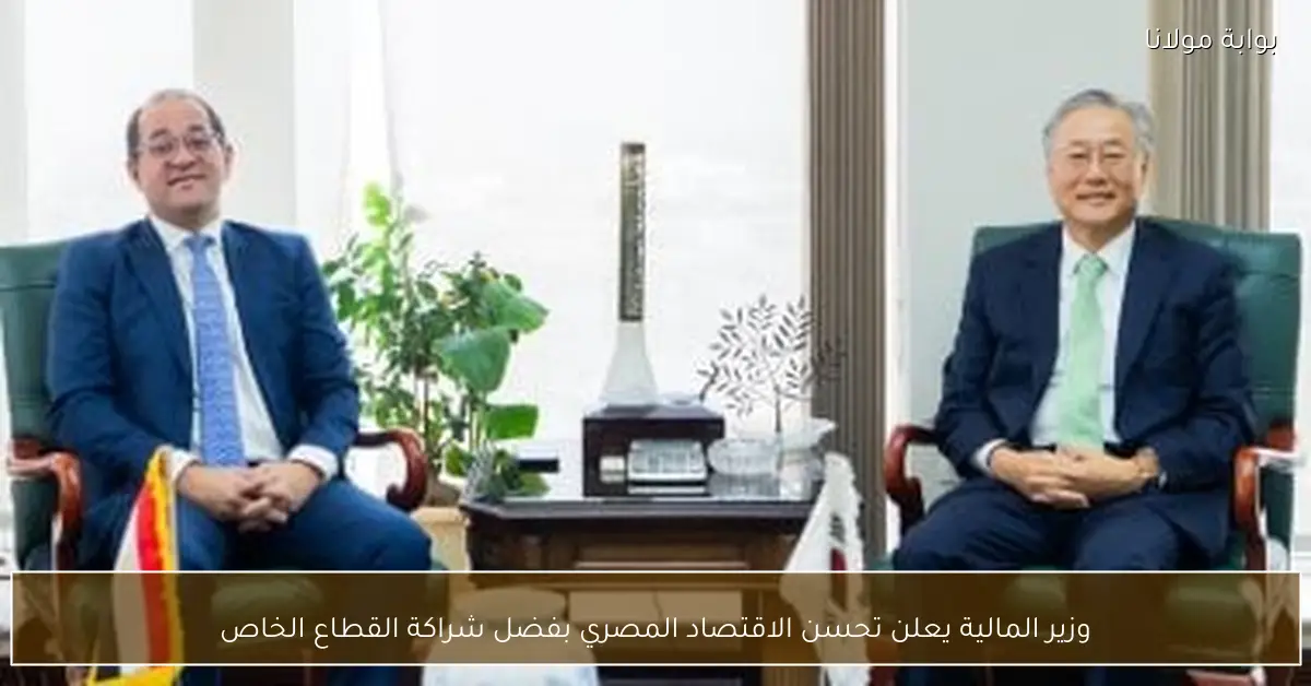 وزير المالية يعلن تحسن الاقتصاد المصري بفضل شراكة القطاع الخاص