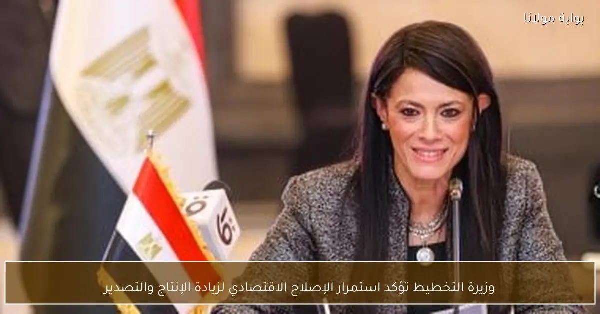 وزيرة التخطيط تؤكد استمرار الإصلاح الاقتصادي لزيادة الإنتاج والتصدير