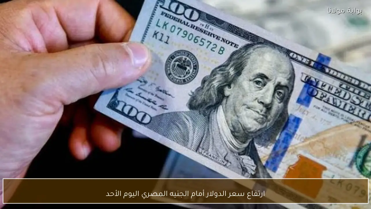 ارتفاع سعر الدولار أمام الجنيه المصري اليوم الأحد