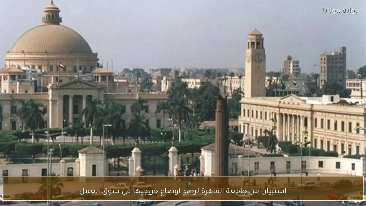 استبيان من جامعة القاهرة لرصد أوضاع خريجيها في سوق العمل